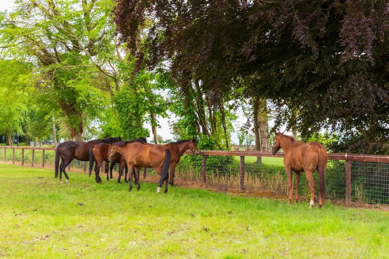 Queens Brook Apartment Navan Bagian luar foto