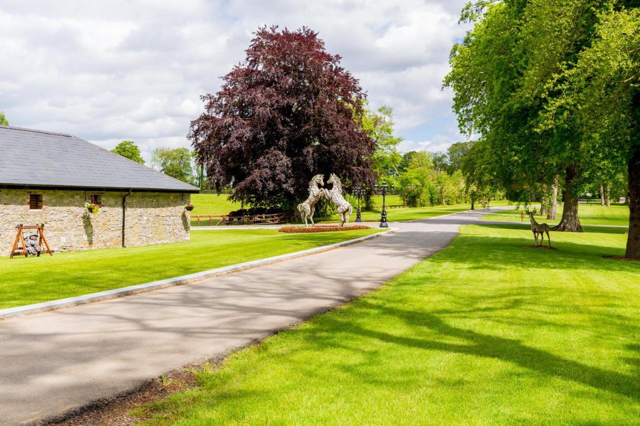 Queens Brook Apartment Navan Bagian luar foto