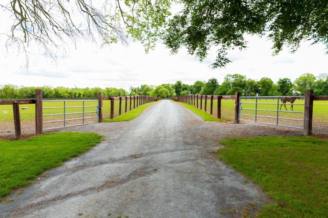 Queens Brook Apartment Navan Bagian luar foto